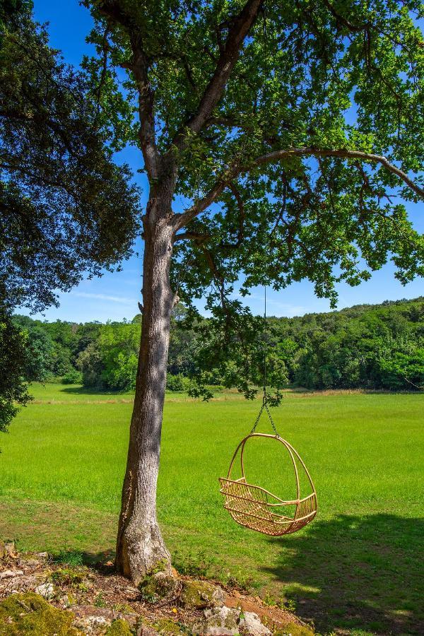 Vibe Luxury Cabins Arnuero Kültér fotó