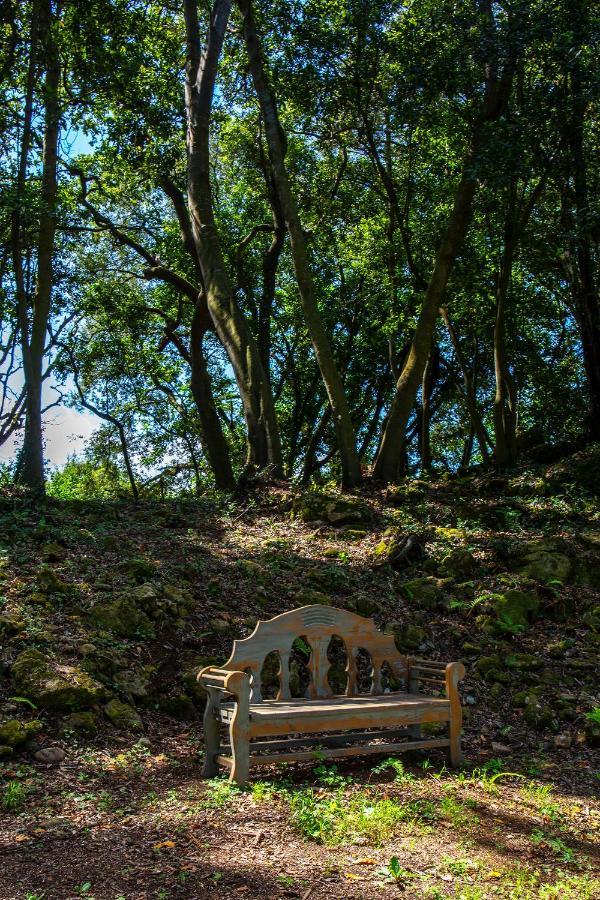 Vibe Luxury Cabins Arnuero Kültér fotó