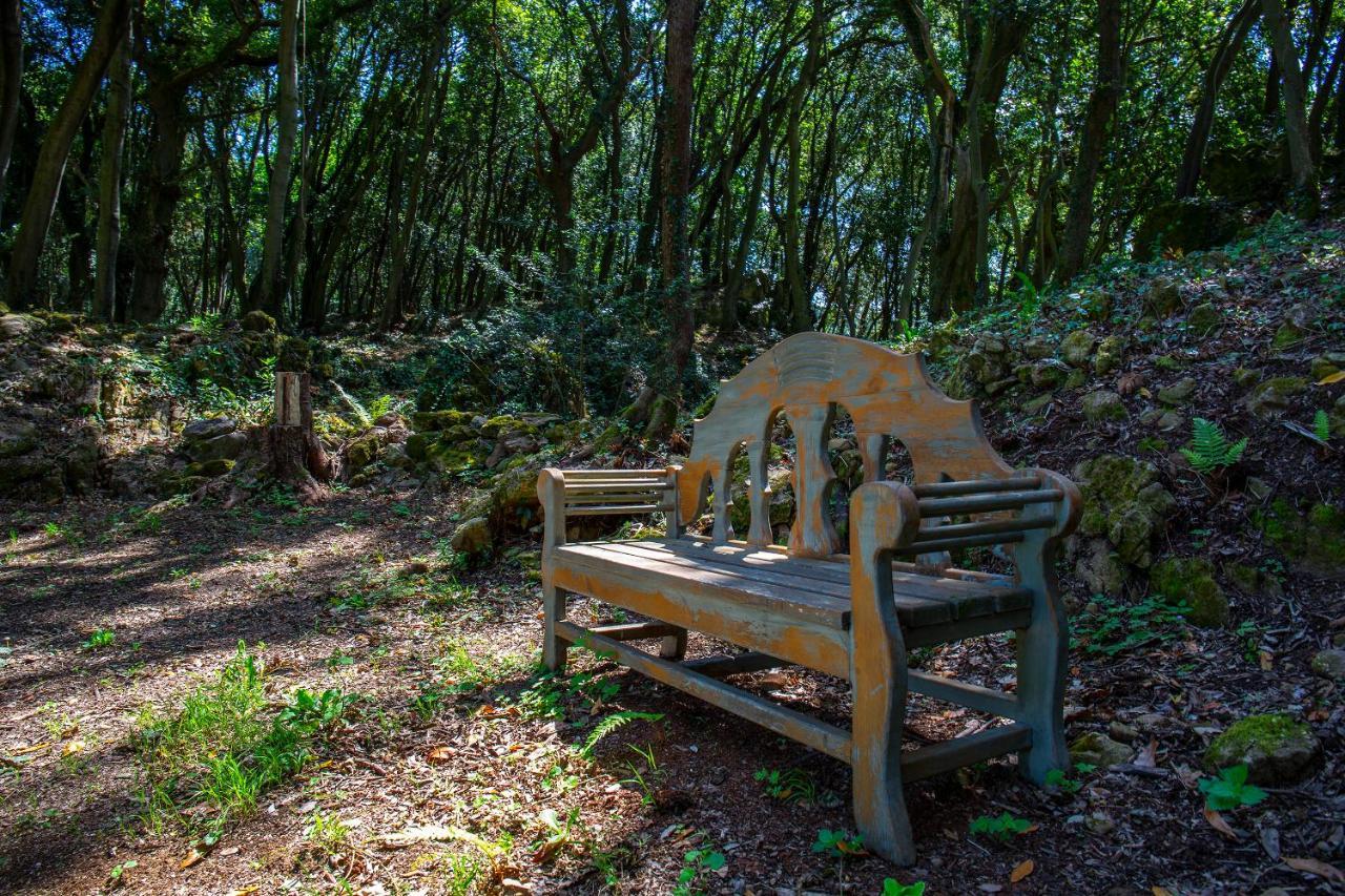 Vibe Luxury Cabins Arnuero Kültér fotó