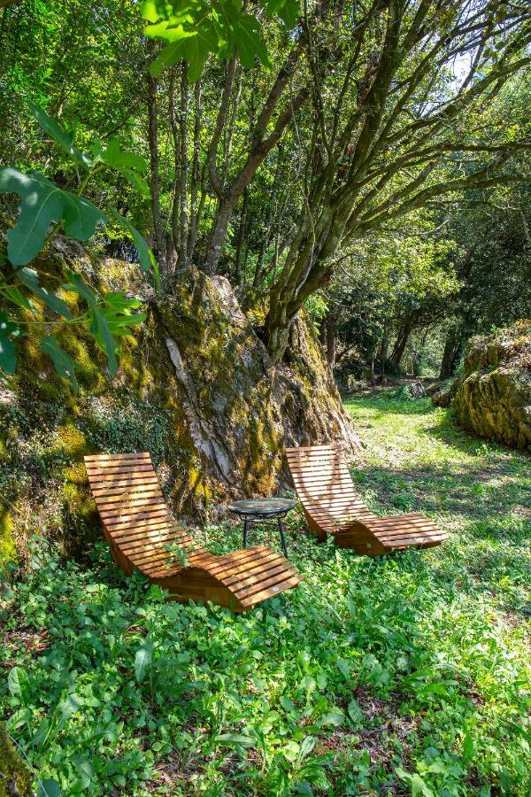 Vibe Luxury Cabins Arnuero Kültér fotó