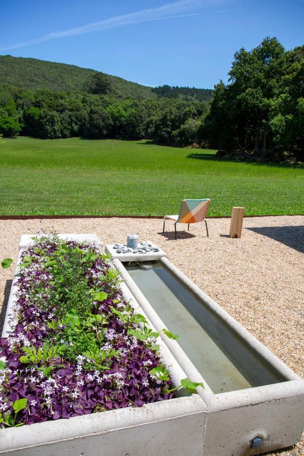 Vibe Luxury Cabins Arnuero Kültér fotó